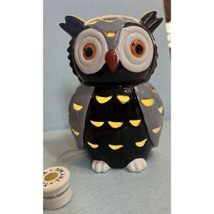 Porcelain Owl Landscape Lights Figurine,  LED - Lawn Gray